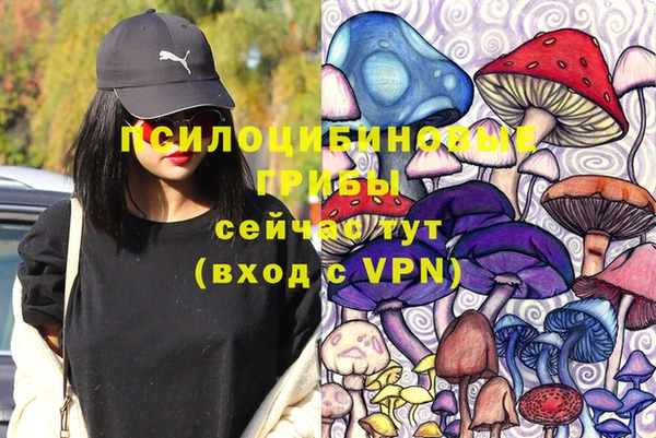 apvp Армянск