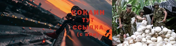 apvp Армянск
