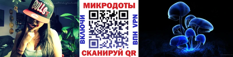 наркотики  Баксан  Галлюциногенные грибы Cubensis 